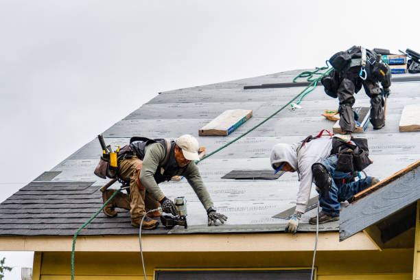 Professional Gutter Installation technician working in Caryville, FL